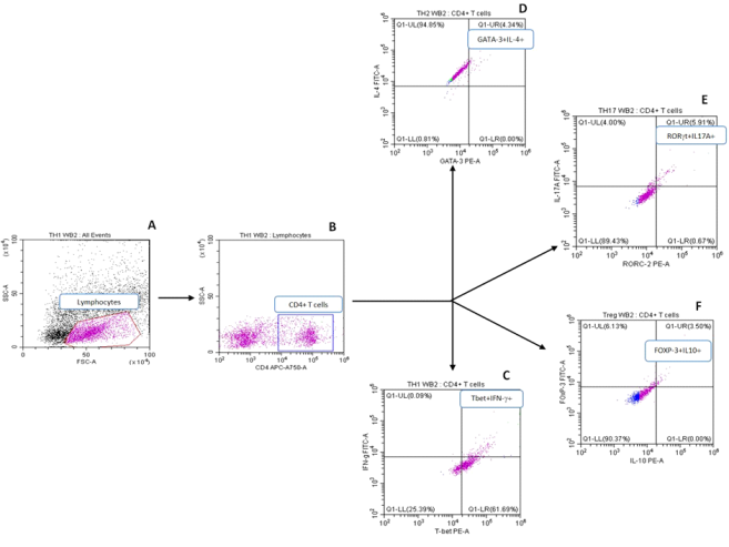 Optimizing whole blood stimulation conditions for intracellular ...
